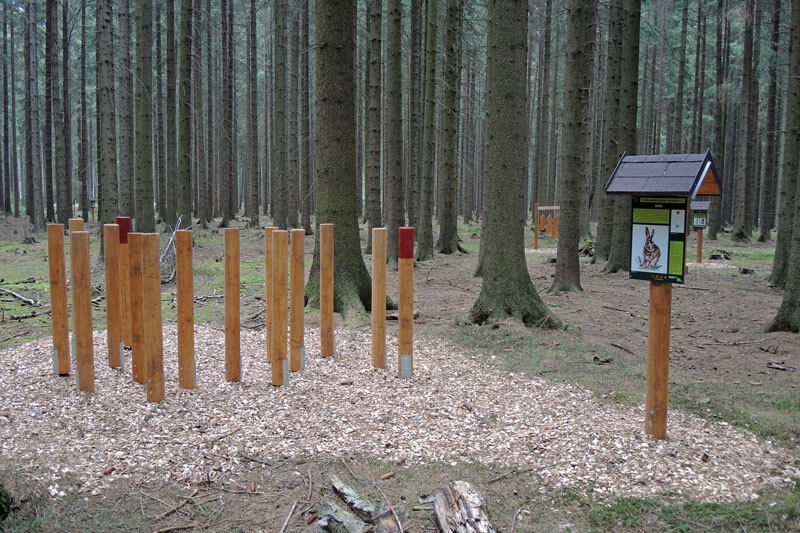 Stezka mladého lesníka