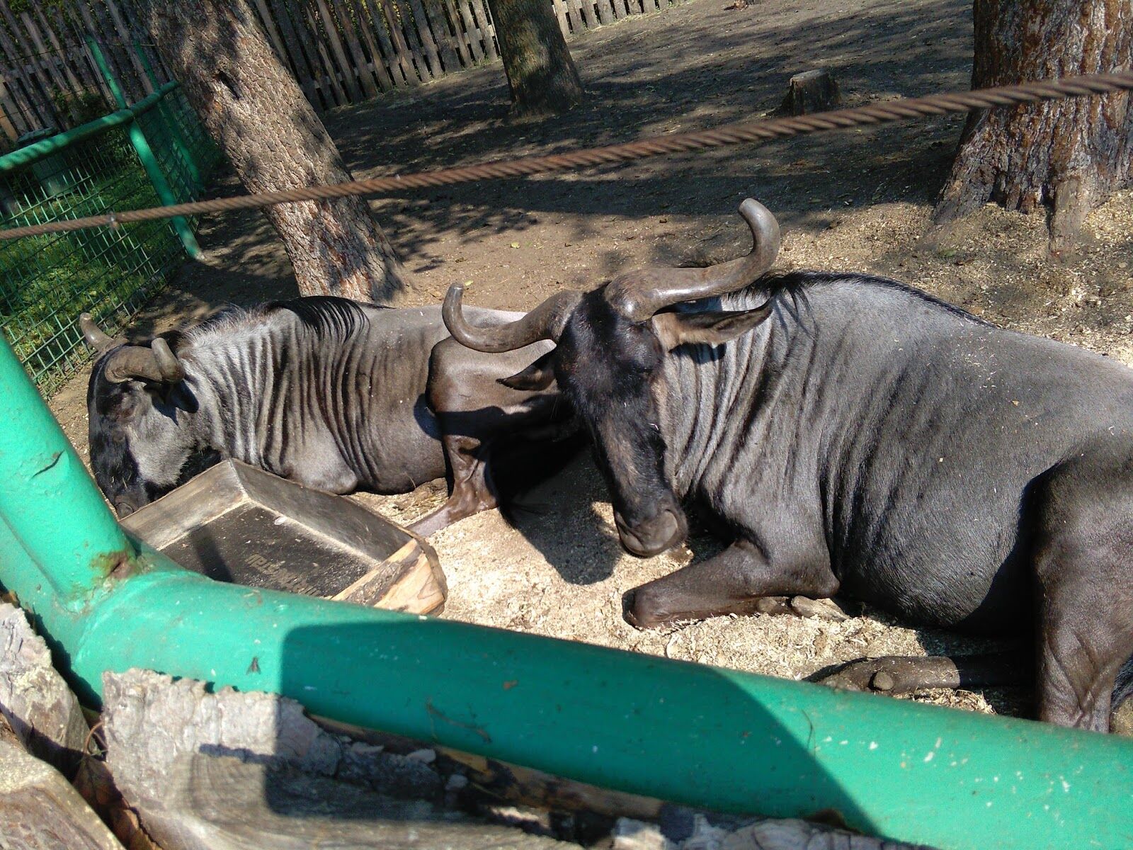 Zoopark Berousek