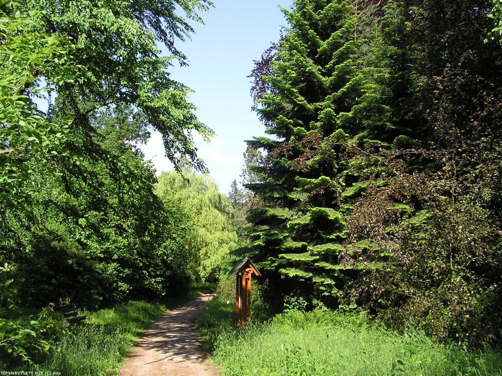 Arboretum Vysoké Chvojno