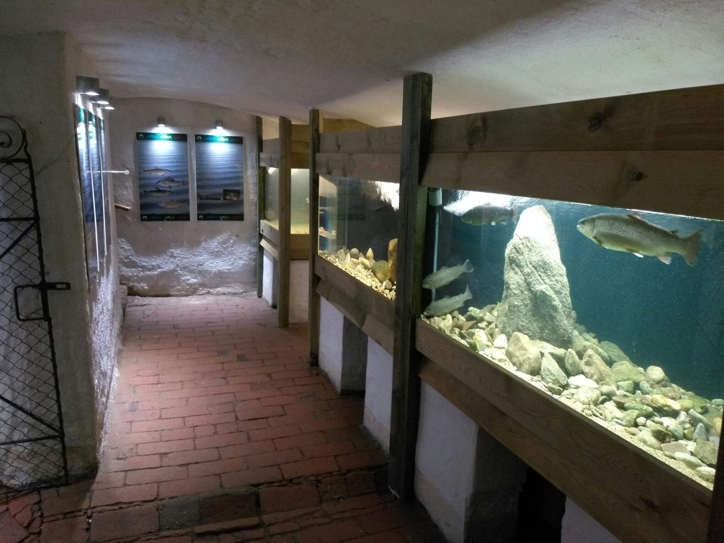 Akvárium Orlík