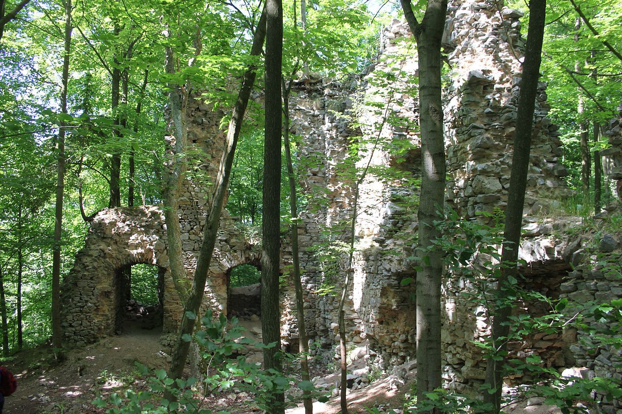 Zřícenina hradu Blansek