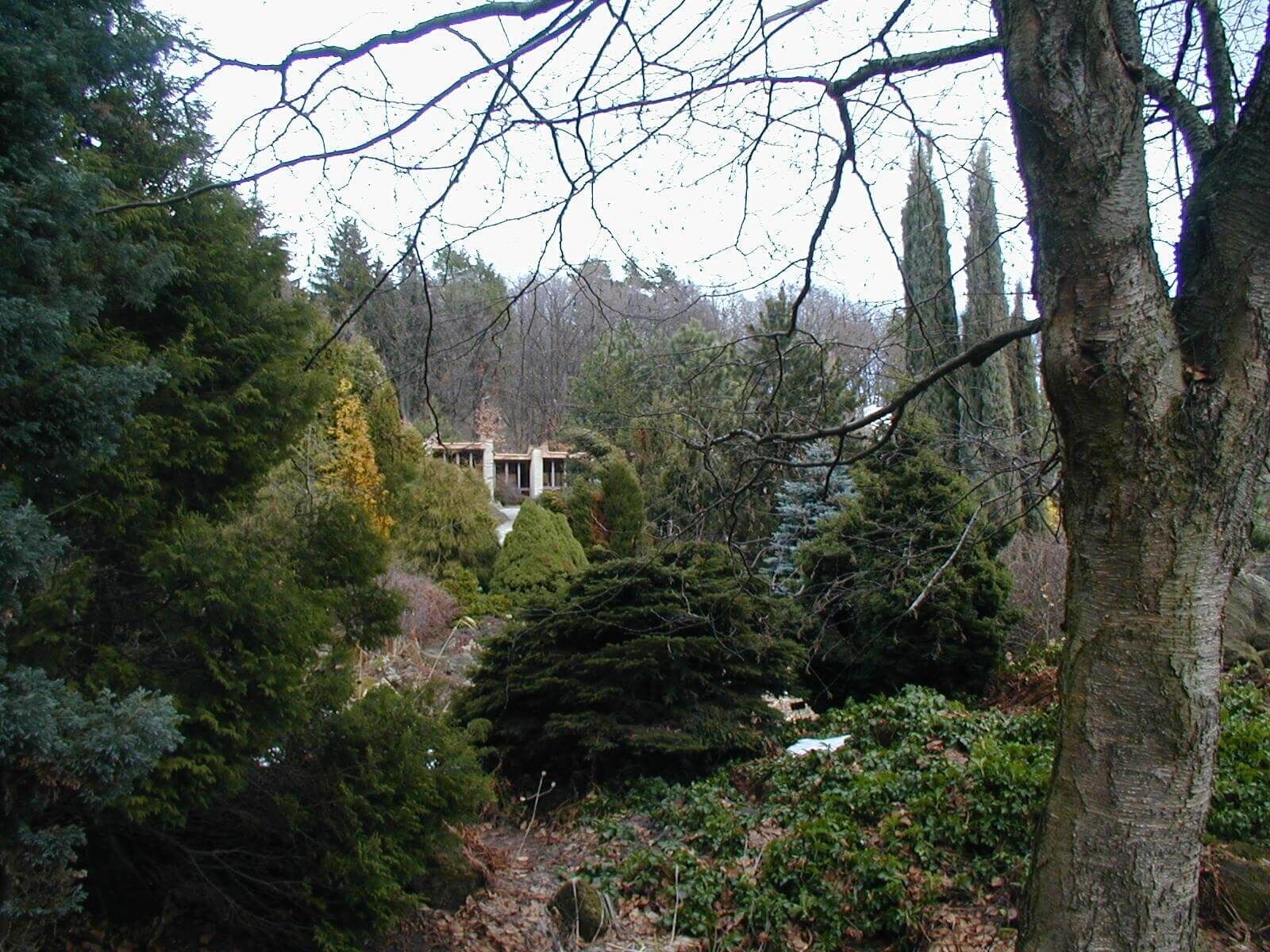 Arboretum Borotín