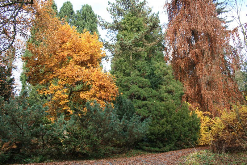 Arboretum Bílá Lhota