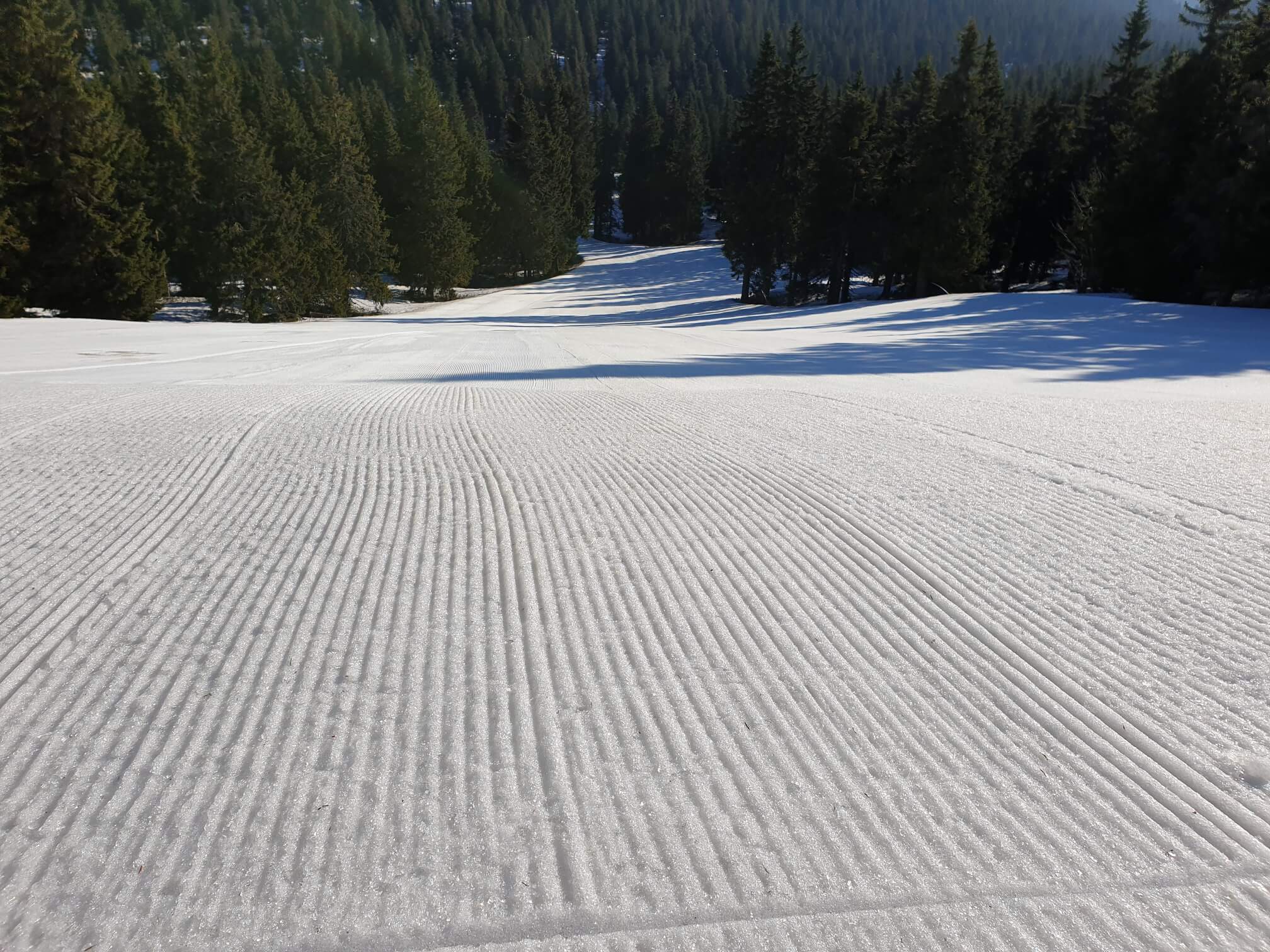 Ski areál Praděd