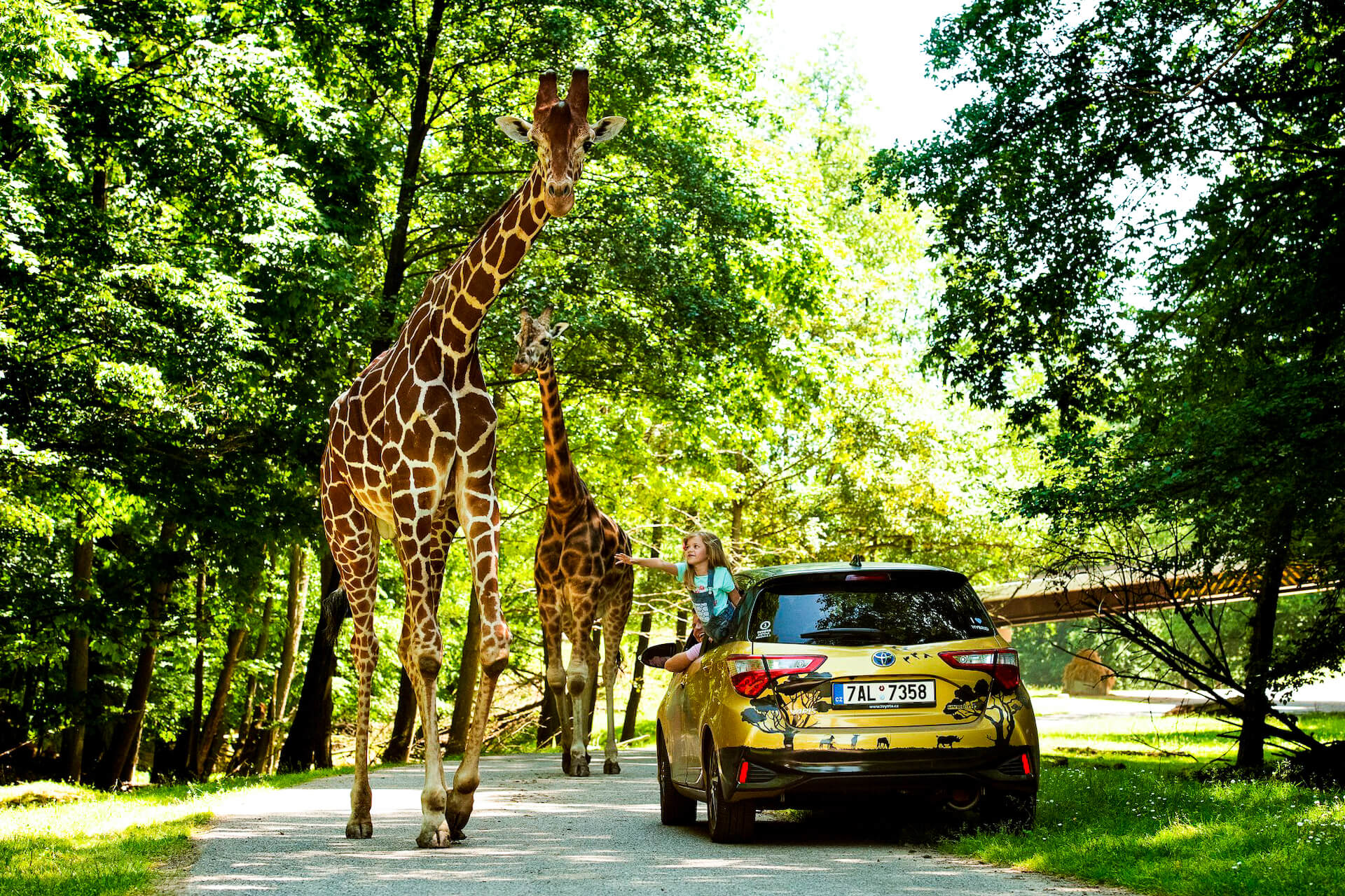 Safari Park Dvůr Králové